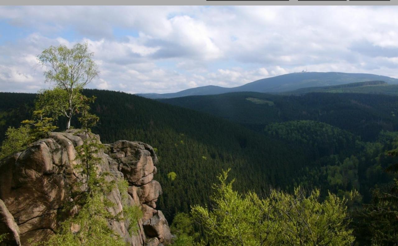 Walpurgis Hexe Braunlage Exterior foto