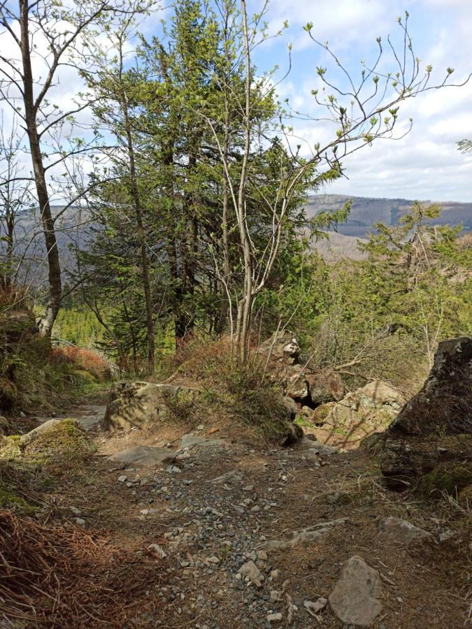 Walpurgis Hexe Braunlage Exterior foto